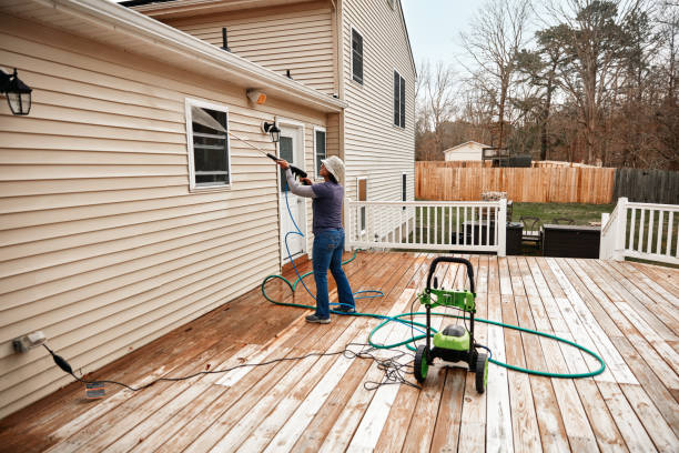 Best Roof Pressure Washing  in Mount Vernon, AL