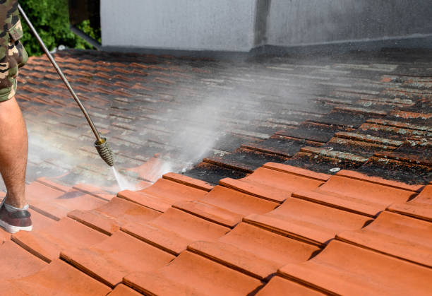 Trusted Mount Vernon, AL Pressure Washing Experts