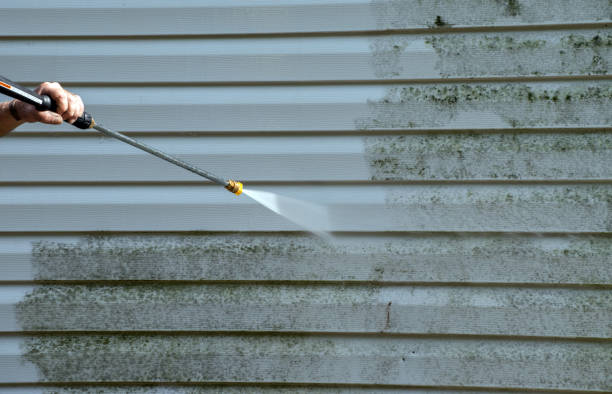 Best Deck Cleaning Services  in Mount Vernon, AL