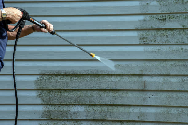 Best Pressure Washing Near Me  in Mount Vernon, AL