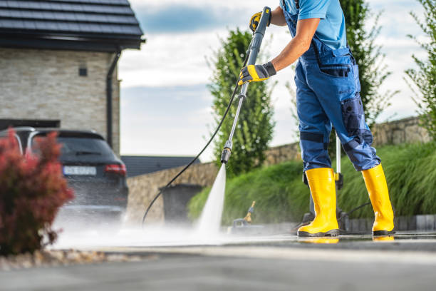 Best Roof Power Washing Services  in Mount Vernon, AL