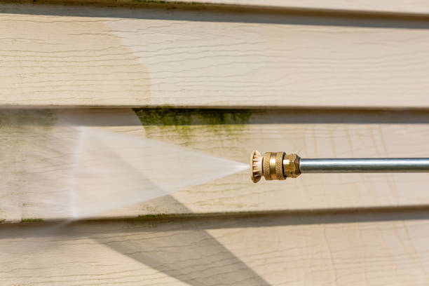 Best Deck Pressure Washing  in Mount Vernon, AL